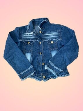 Small Cropped Denim Jacket